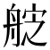 𮎑