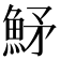𩶒