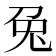 兔