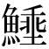 𩺖
