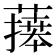 𦾙