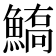 𩺙