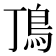 𩾚