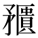𥎛