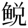 𫚛