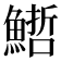 𩺢