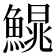 𩺣