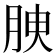 𦚤