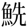 𩶤