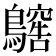 𪆥