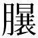 𣎦