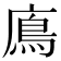 𩾦