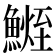 𩺧