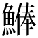 𩺨