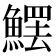 𩺩