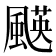𩘑