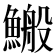 𩺪