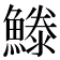 𩺭