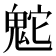 𩲮