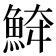 𩶮