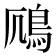 𫚯