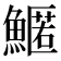 𩺱