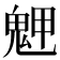 𩲳