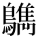 𪆳