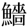 𩼒