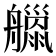 𦪴