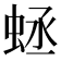 𧊴