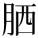 𦚵