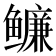 𬶶
