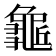 𪚺