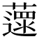 𦾽