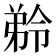 𭚾