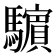 𩦿