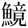 𩺿