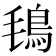 𩿂