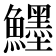 𱇅