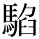 𩤂