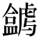 𥃋