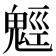 𩳍