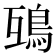 𩿍