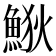 𩷎