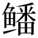 𱈕