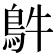 𩿓