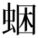 𧋕