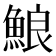 𩷕