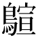 𪃗